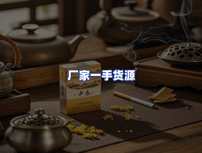 专业团队